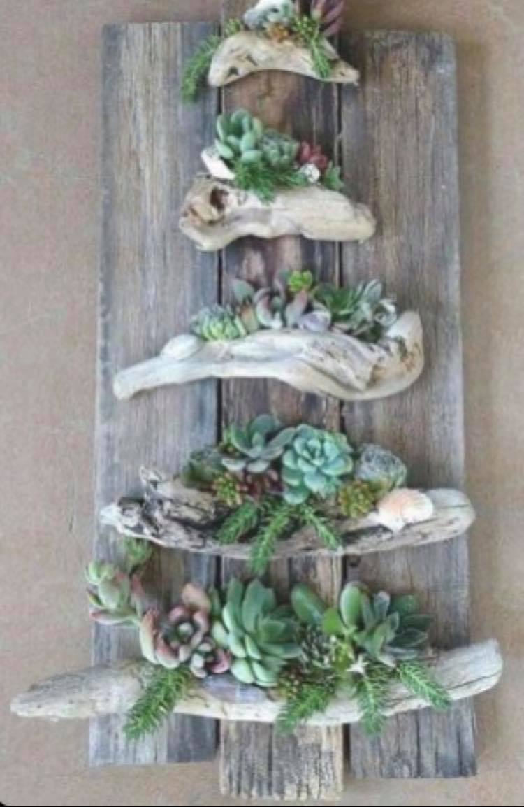 Succulent Christmas Tree Workshop